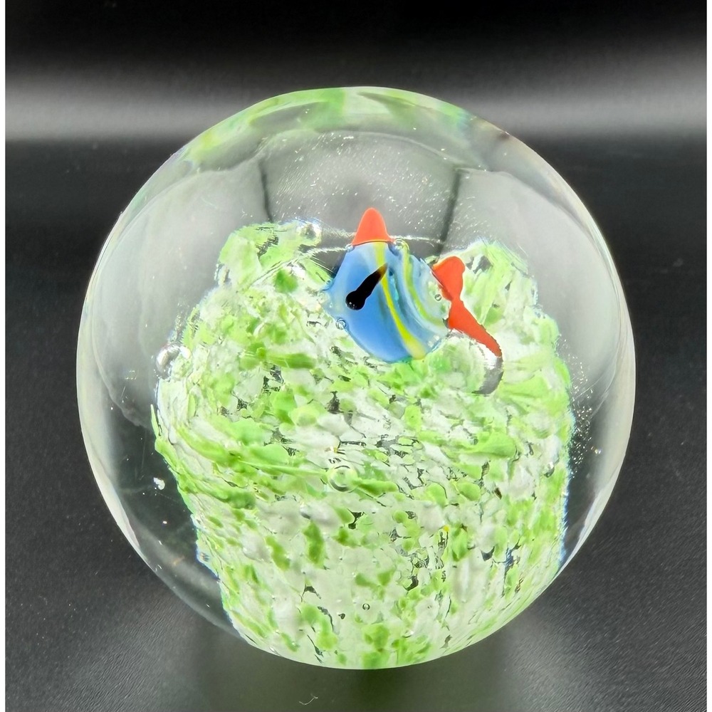 Glass Paperweight Tropical Fish Coral Reef Orb Ocean Marine Sea Life Art Glass